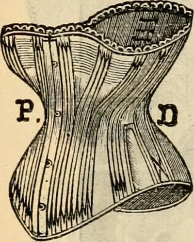 An illustration from Fall and winter 1895-6 price list for daily reference., 1895, leaf 69