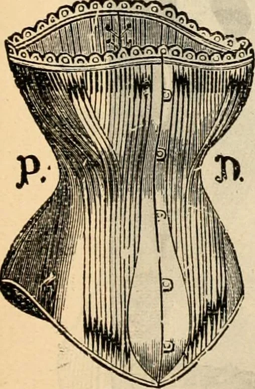 An illustration from Fall and winter 1895-6 price list for daily reference., 1895, leaf 69