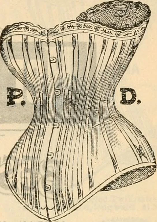 An illustration from Fall and winter 1895-6 price list for daily reference., 1895, leaf 69