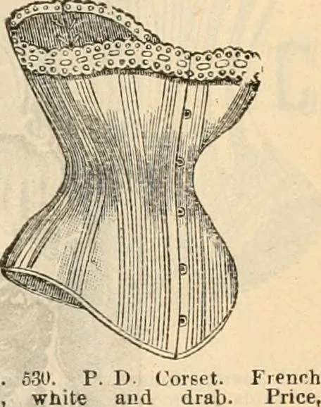 An illustration from Fall and winter 1895-6 price list for daily reference., 1895, leaf 69