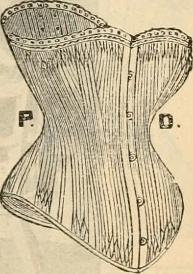 An illustration from Fall and winter 1895-6 price list for daily reference., 1895, leaf 69