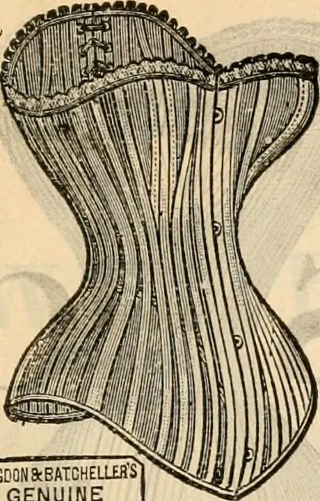 An illustration from Fall and winter 1895-6 price list for daily reference., 1895, leaf 71