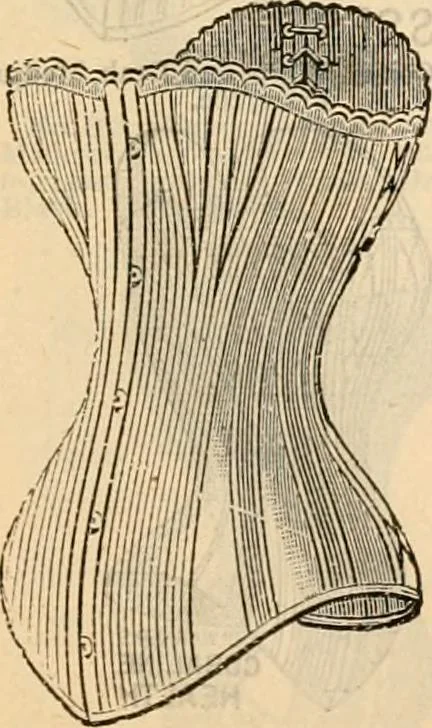 An illustration from Fall and winter 1895-6 price list for daily reference., 1895, leaf 71