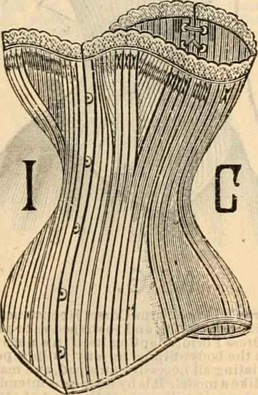 An illustration from Fall and winter 1895-6 price list for daily reference., 1895, leaf 71