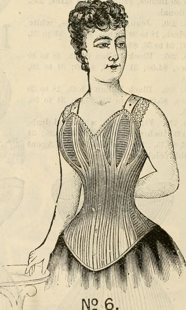 An illustration from Fall and winter 1895-6 price list for daily reference., 1895, leaf 72