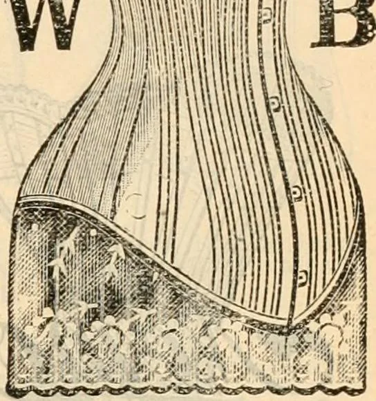 An illustration from Fall and winter 1895-6 price list for daily reference., 1895, leaf 73