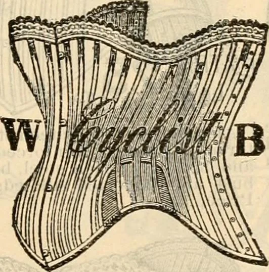 An illustration from Fall and winter 1895-6 price list for daily reference., 1895, leaf 73