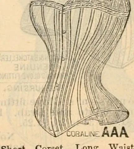 An illustration from Fall and winter 1895-6 price list for daily reference., 1895, leaf 73