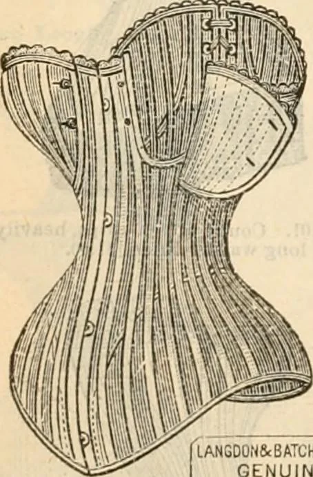 An illustration from Fall and winter 1895-6 price list for daily reference., 1895, leaf 74