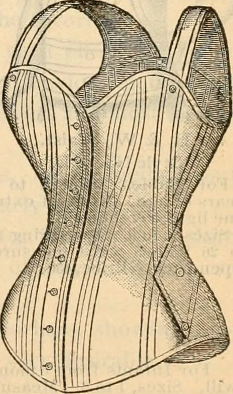 An illustration from Fall and winter 1895-6 price list for daily reference., 1895, leaf 75