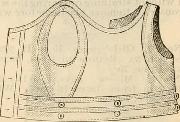 An illustration from Fall and winter 1895-6 price list for daily reference., 1895, leaf 76