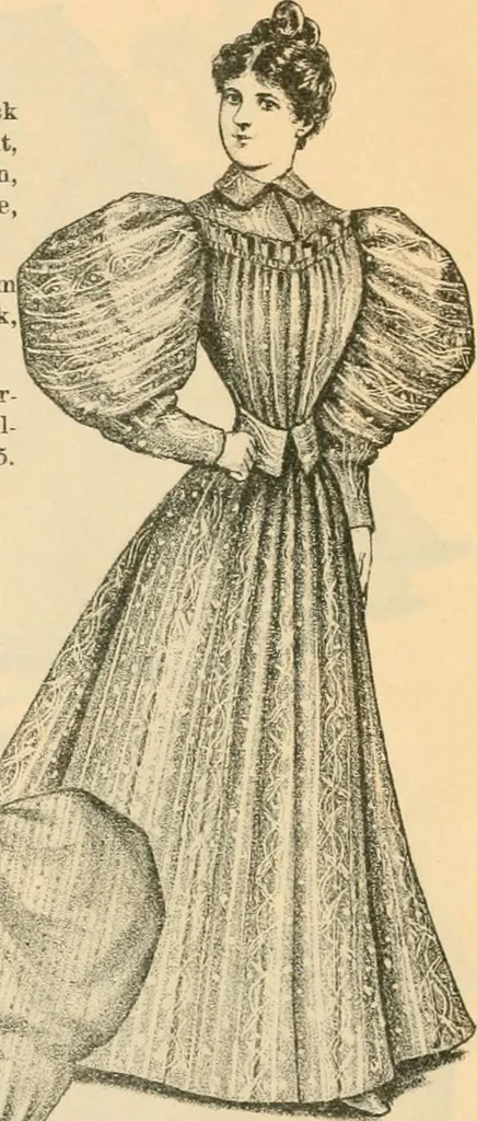 An illustration from Fall and winter 1895-6 price list for daily reference., 1895, leaf 8