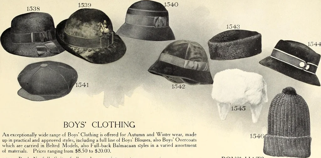 An illustration from Fall and winter : catalogue number one hundred ten, 1914-15., 1915, leaf 96
