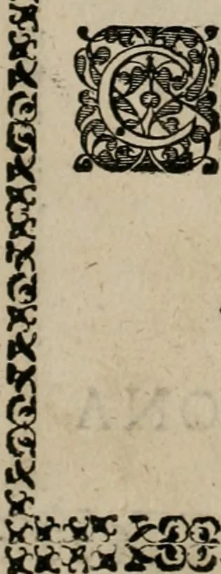 An illustration from Fama postuma, de virtutibus heroicis : quibus serenissima princeps ac domina D. Maria Archidux Austriae, Rheni Palatina vtriusque Bauariae Dux, et serenissimi quondam principis ac domini D. Caroli Archducis Austriae, Burgundiae, Styriae, Carinthiae, Carniolae Ducis Coniux, postea vidua augustam memoriae semper foelicis immortalitatem viuens moriens meruit, 1609, leaf 19