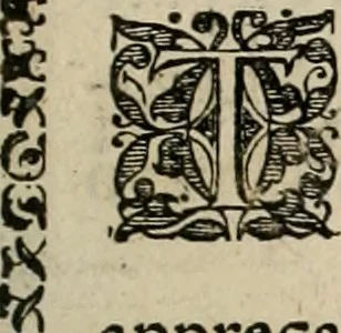 An illustration from Fama postuma, de virtutibus heroicis : quibus serenissima princeps ac domina D. Maria Archidux Austriae, Rheni Palatina vtriusque Bauariae Dux, et serenissimi quondam principis ac domini D. Caroli Archducis Austriae, Burgundiae, Styriae, Carinthiae, Carniolae Ducis Coniux, postea vidua augustam memoriae semper foelicis immortalitatem viuens moriens meruit, 1609, leaf 40