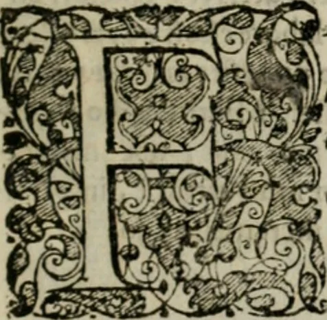 An illustration from Fama prognostica : ad cunas serenissimi principis Maximiliani Emmanuelis ... domini Ferdinandi Mariæ ... et serenissimæ principis ac D. dominæ Henrietæ Adeleidis ... filii, 1662, leaf 36