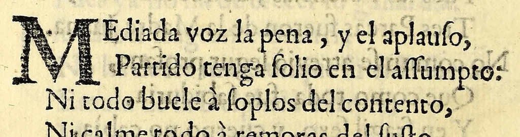 An illustration from Fama, y obras posthumas del fenix de Mexico, decima musa, poetisa americana, Sor Juana Ines de la Cruz, religiosa professa en el convento de San Geronimo de la imperial ciudad de Mexico; : consagralas a la Magestad Catholica de la reyna nuestra señora doña Mariana de Neoburg Baviera Palatina del Rhin, por mano de la Excma. señora doña Juana de Aragon y Cortès, duquesa de Monteleon, y Terra-Nova, marquesa del Valle de Goaxaca, &c., 1700, leaf 338