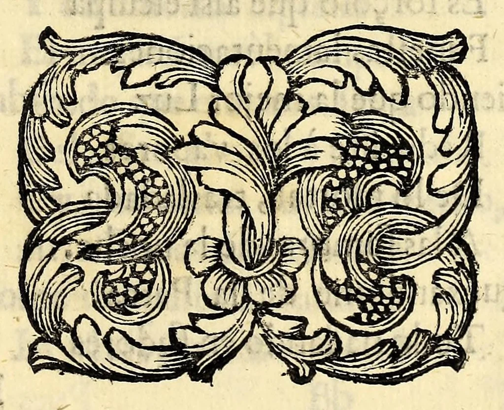An illustration from Fama, y obras posthumas del fenix de Mexico, decima musa, poetisa americana, Sor Juana Ines de la Cruz, religiosa professa en el convento de San Geronimo de la imperial ciudad de Mexico; : consagralas a la Magestad Catholica de la reyna nuestra señora doña Mariana de Neoburg Baviera Palatina del Rhin, por mano de la Excma. señora doña Juana de Aragon y Cortès, duquesa de Monteleon, y Terra-Nova, marquesa del Valle de Goaxaca, &c., 1700, leaf 341