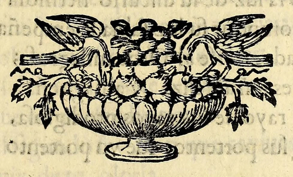 An illustration from Fama, y obras posthumas del fenix de Mexico, decima musa, poetisa americana, Sor Juana Ines de la Cruz, religiosa professa en el convento de San Geronimo de la imperial ciudad de Mexico; : consagralas a la Magestad Catholica de la reyna nuestra señora doña Mariana de Neoburg Baviera Palatina del Rhin, por mano de la Excma. señora doña Juana de Aragon y Cortès, duquesa de Monteleon, y Terra-Nova, marquesa del Valle de Goaxaca, &c., 1700, leaf 71