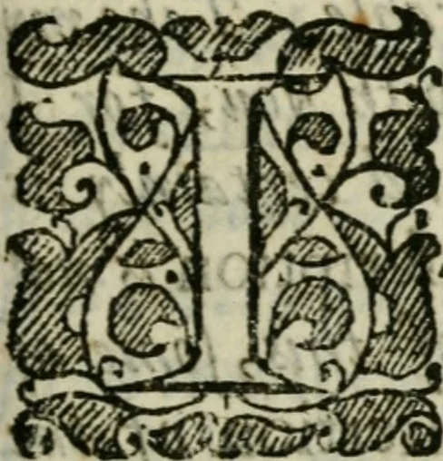 An illustration from The fame and confession of the Fraternity of R.C., commonly, of the Rosie Cross : with a praeface annexed thereto, and a short declaration of their physicall work, 1652, leaf 24