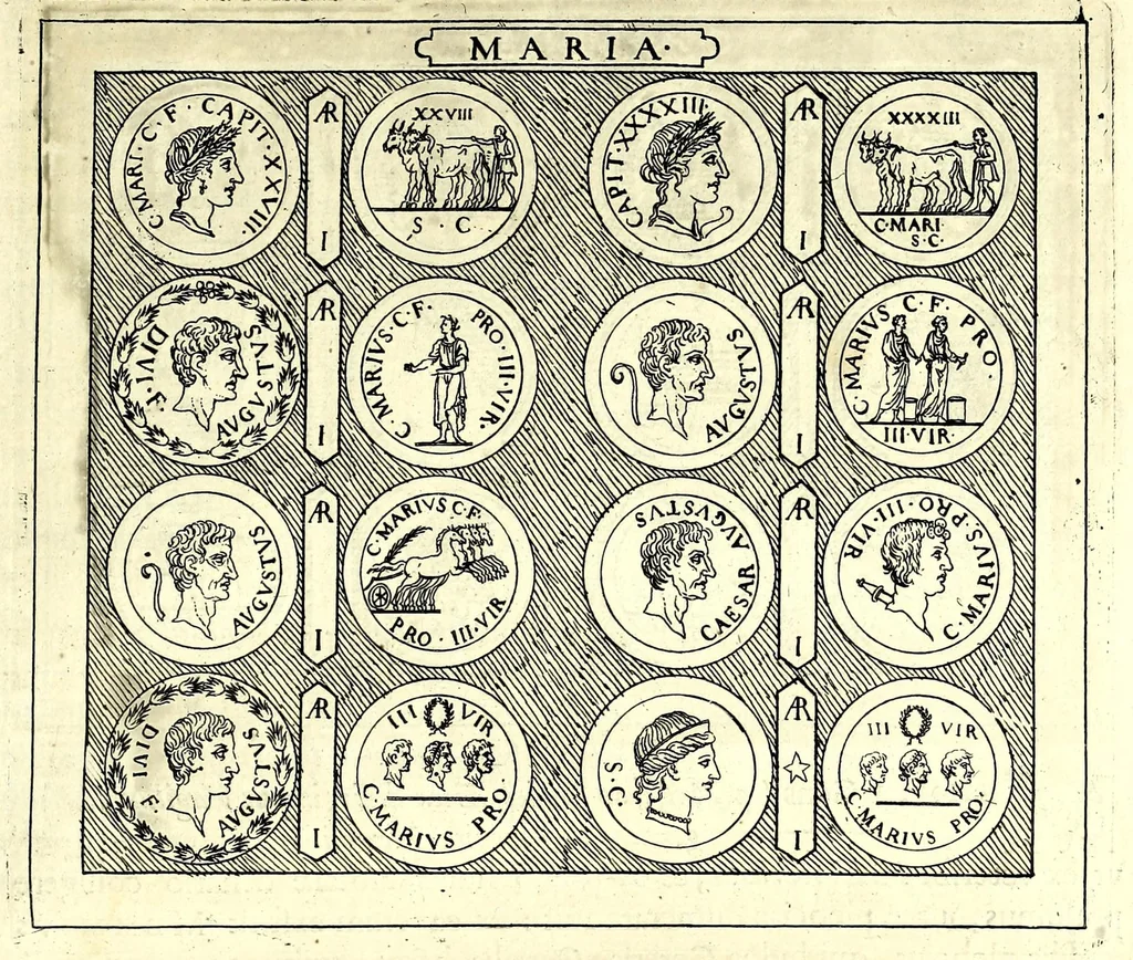 An illustration from Familiae Romanae in antiquis numismatibus : ab vrbe condita, ad tempora diui Augusti, 1663, leaf 215