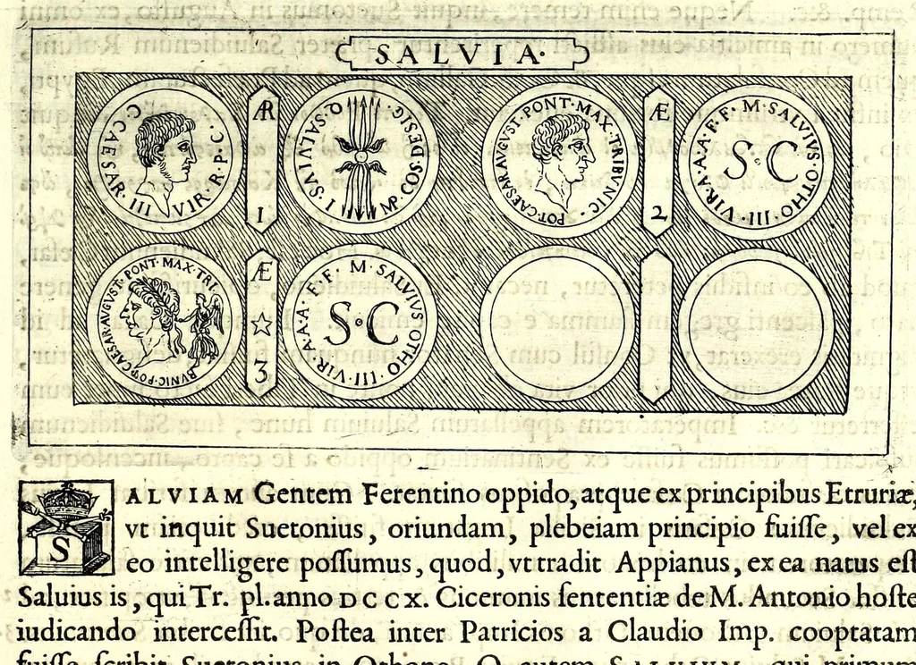 An illustration from Familiae Romanae in antiquis numismatibus : ab vrbe condita, ad tempora diui Augusti, 1663, leaf 289