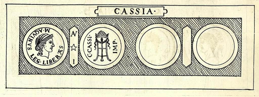 An illustration from Familiae Romanae in antiquis numismatibus : ab vrbe condita, ad tempora diui Augusti, 1663, leaf 354