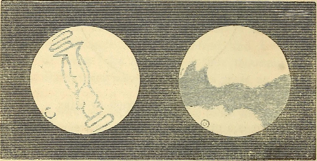 An illustration from Familiar lessons on astronomy ; designed for the use of children and youth .., 1848, leaf 80