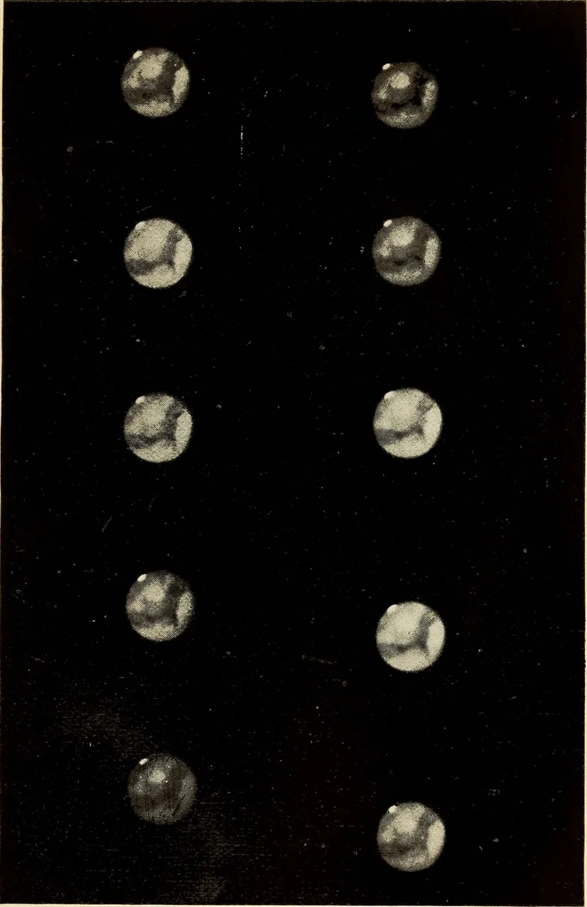 An illustration from The family celestial, 1915, leaf 120