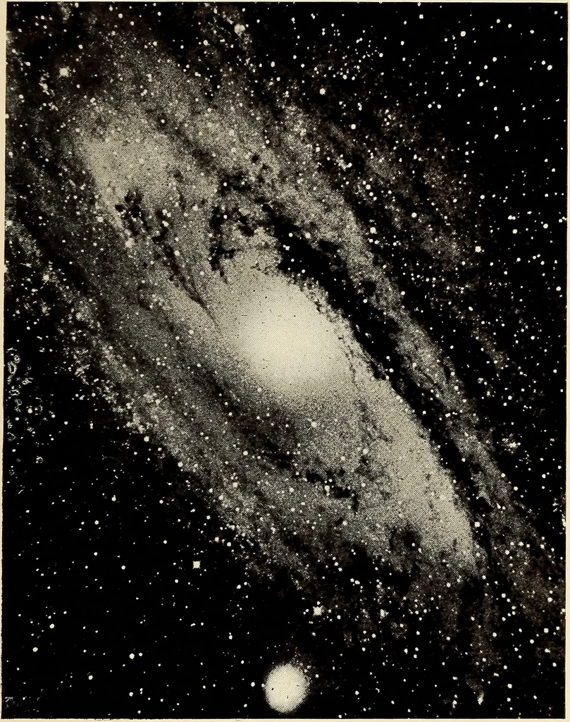 An illustration from The family celestial, 1915, leaf 196