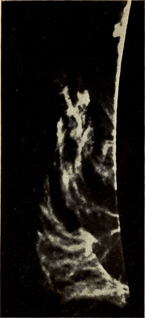 An illustration from The family celestial, 1915, leaf 28