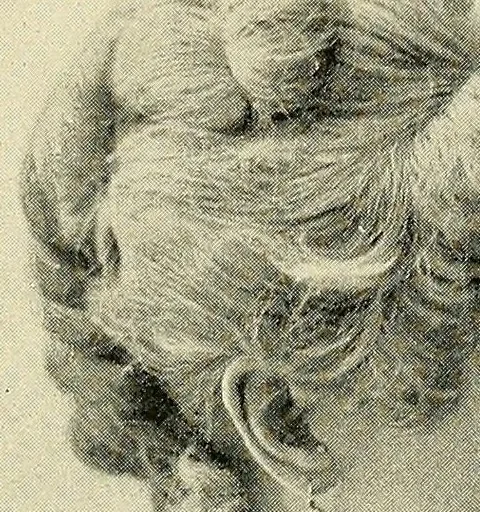 An illustration from Famous American belles of the nineteenth century, 1901, leaf 309