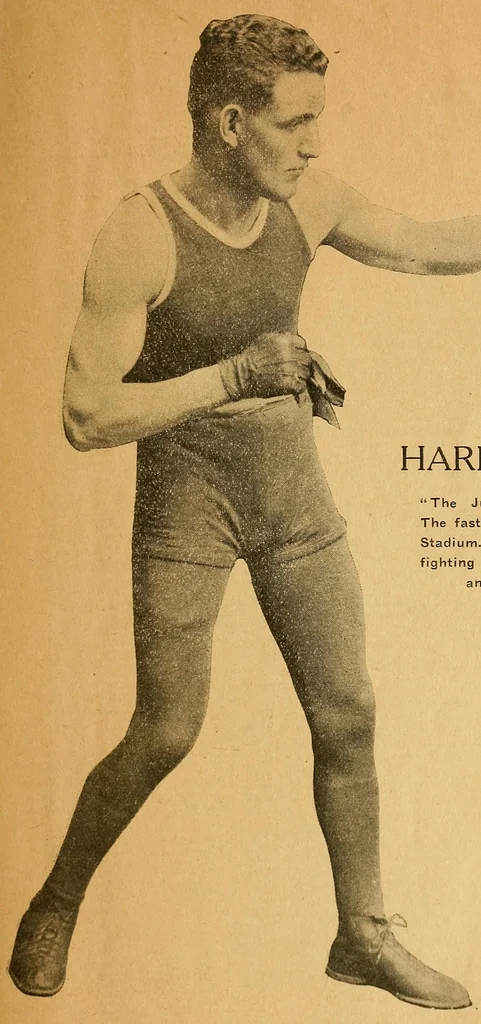 An illustration from Famous fights at the stadium, 1914, leaf 67