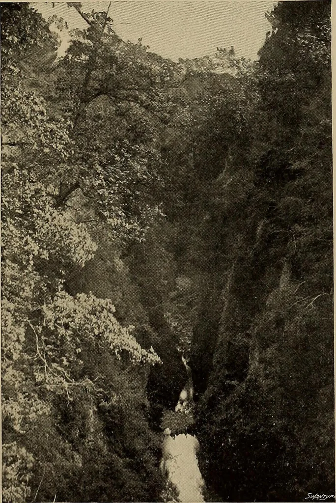 An illustration from Famous homes of Great Britain and their stories, 1900, leaf 214