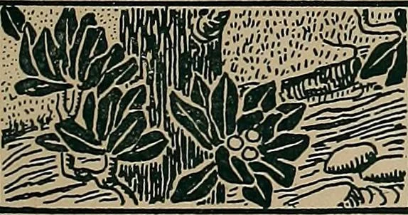 An illustration from Famous homes of Great Britain and their stories, 1900, leaf 8