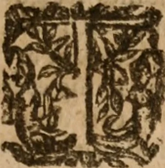 An illustration from The famous and renowned history of Amadis de Gaule : conteining the heroick deeds of armes, and strange adventures, aswell of Amadis himself, as of Perion his son, and Lisvart of Greece, son to Esplandian emperor of Constantinople, wherein is shewed the wars of the Christians against the Turks..., 1652, leaf 102