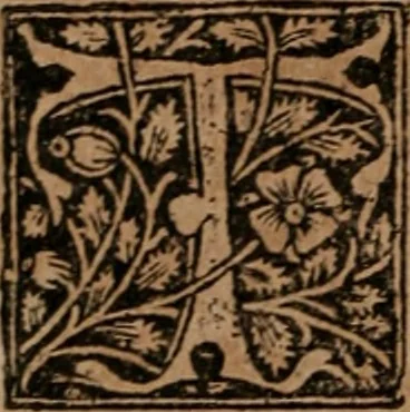 An illustration from The famous and renowned history of Amadis de Gaule : conteining the heroick deeds of armes, and strange adventures, aswell of Amadis himself, as of Perion his son, and Lisvart of Greece, son to Esplandian emperor of Constantinople, wherein is shewed the wars of the Christians against the Turks..., 1652, leaf 207