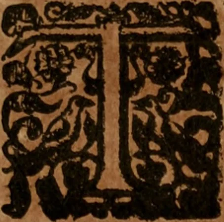 An illustration from The famous and renowned history of Amadis de Gaule : conteining the heroick deeds of armes, and strange adventures, aswell of Amadis himself, as of Perion his son, and Lisvart of Greece, son to Esplandian emperor of Constantinople, wherein is shewed the wars of the Christians against the Turks..., 1652, leaf 214