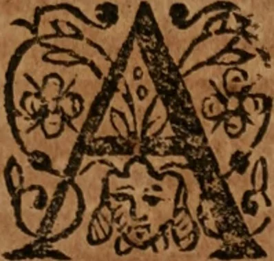 An illustration from The famous and renowned history of Amadis de Gaule : conteining the heroick deeds of armes, and strange adventures, aswell of Amadis himself, as of Perion his son, and Lisvart of Greece, son to Esplandian emperor of Constantinople, wherein is shewed the wars of the Christians against the Turks..., 1652, leaf 216