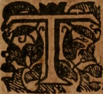 An illustration from The famous and renowned history of Amadis de Gaule : conteining the heroick deeds of armes, and strange adventures, aswell of Amadis himself, as of Perion his son, and Lisvart of Greece, son to Esplandian emperor of Constantinople, wherein is shewed the wars of the Christians against the Turks..., 1652, leaf 218