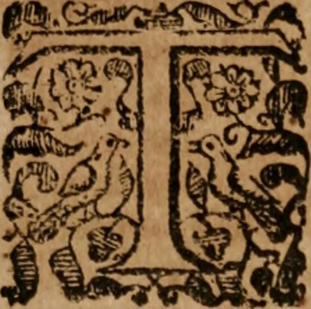An illustration from The famous and renowned history of Amadis de Gaule : conteining the heroick deeds of armes, and strange adventures, aswell of Amadis himself, as of Perion his son, and Lisvart of Greece, son to Esplandian emperor of Constantinople, wherein is shewed the wars of the Christians against the Turks..., 1652, leaf 224
