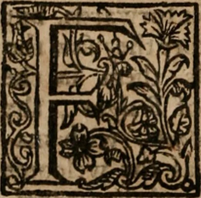 An illustration from The famous and renowned history of Amadis de Gaule : conteining the heroick deeds of armes, and strange adventures, aswell of Amadis himself, as of Perion his son, and Lisvart of Greece, son to Esplandian emperor of Constantinople, wherein is shewed the wars of the Christians against the Turks..., 1652, leaf 237