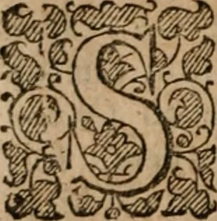 An illustration from The famous and renowned history of Amadis de Gaule : conteining the heroick deeds of armes, and strange adventures, aswell of Amadis himself, as of Perion his son, and Lisvart of Greece, son to Esplandian emperor of Constantinople, wherein is shewed the wars of the Christians against the Turks..., 1652, leaf 239