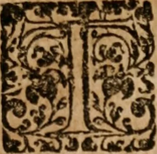 An illustration from The famous and renowned history of Amadis de Gaule : conteining the heroick deeds of armes, and strange adventures, aswell of Amadis himself, as of Perion his son, and Lisvart of Greece, son to Esplandian emperor of Constantinople, wherein is shewed the wars of the Christians against the Turks..., 1652, leaf 246