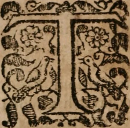 An illustration from The famous and renowned history of Amadis de Gaule : conteining the heroick deeds of armes, and strange adventures, aswell of Amadis himself, as of Perion his son, and Lisvart of Greece, son to Esplandian emperor of Constantinople, wherein is shewed the wars of the Christians against the Turks..., 1652, leaf 251