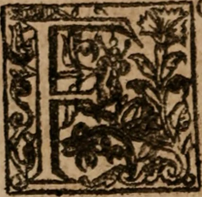An illustration from The famous and renowned history of Amadis de Gaule : conteining the heroick deeds of armes, and strange adventures, aswell of Amadis himself, as of Perion his son, and Lisvart of Greece, son to Esplandian emperor of Constantinople, wherein is shewed the wars of the Christians against the Turks..., 1652, leaf 39