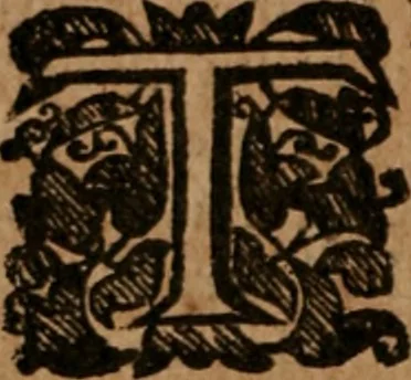 An illustration from The famous and renowned history of Amadis de Gaule : conteining the heroick deeds of armes, and strange adventures, aswell of Amadis himself, as of Perion his son, and Lisvart of Greece, son to Esplandian emperor of Constantinople, wherein is shewed the wars of the Christians against the Turks..., 1652, leaf 45