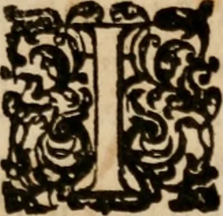 An illustration from The famous and renowned history of Amadis de Gaule : conteining the heroick deeds of armes, and strange adventures, aswell of Amadis himself, as of Perion his son, and Lisvart of Greece, son to Esplandian emperor of Constantinople, wherein is shewed the wars of the Christians against the Turks..., 1652, leaf 6