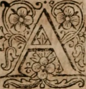 An illustration from The famous and renowned history of Amadis de Gaule : conteining the heroick deeds of armes, and strange adventures, aswell of Amadis himself, as of Perion his son, and Lisvart of Greece, son to Esplandian emperor of Constantinople, wherein is shewed the wars of the Christians against the Turks..., 1652, leaf 73