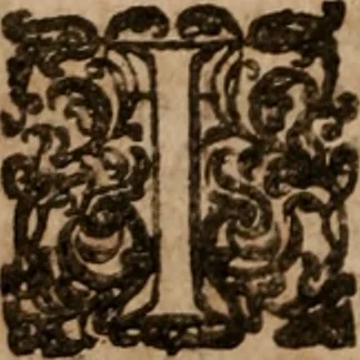 An illustration from The famous and renowned history of Amadis de Gaule : conteining the heroick deeds of armes, and strange adventures, aswell of Amadis himself, as of Perion his son, and Lisvart of Greece, son to Esplandian emperor of Constantinople, wherein is shewed the wars of the Christians against the Turks..., 1652, leaf 81